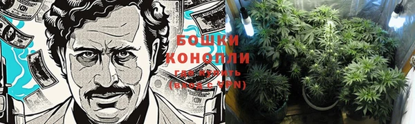 первитин Белоозёрский