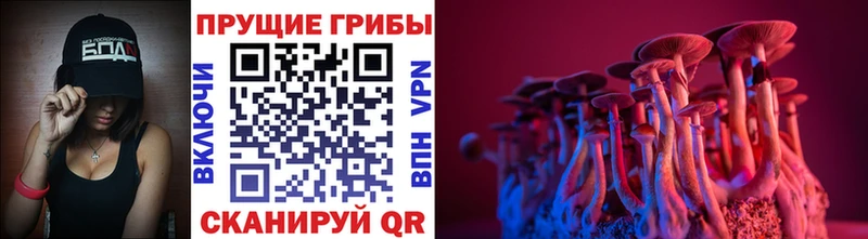 что такое наркотик  Первомайск  Галлюциногенные грибы прущие грибы 